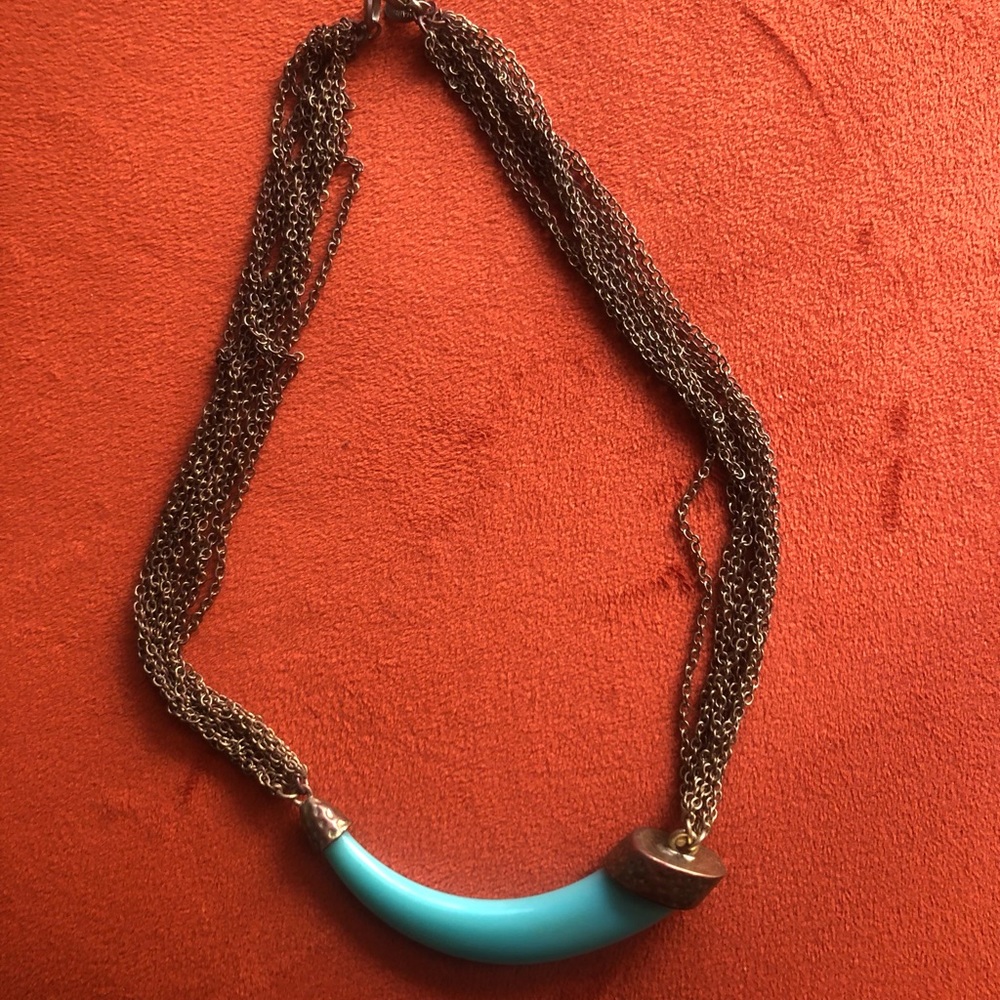 JCPenney Turquoise Gold Tooth Husk Necklace